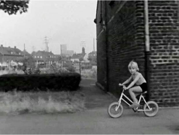 1070060_10151585479091137_249050929_n