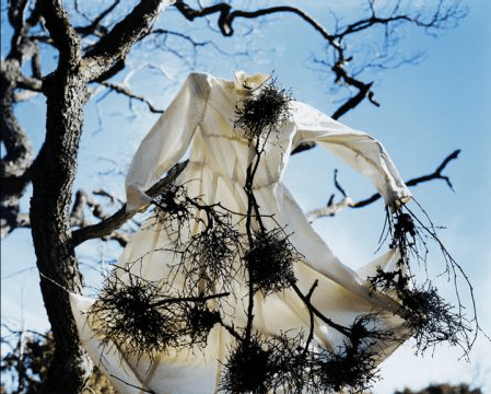 Screen Shot 2013-10-09 at 3.42.34 PM