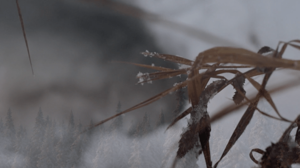 In the dark, dark room_featured image