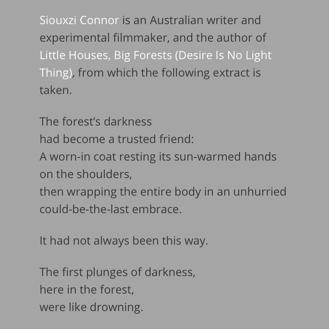 25438699_10155478576406137_2932892513369664080_o